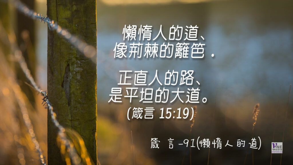 #368 箴言-91(懶惰人的道)-第15章19節