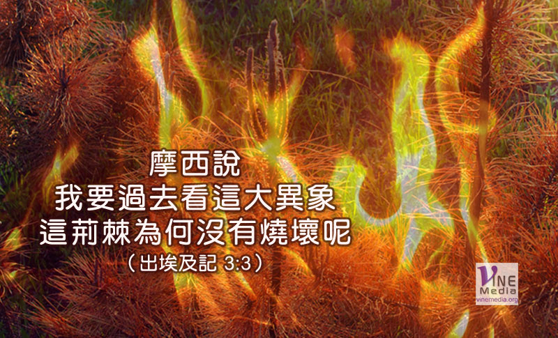 #16 一月十六日──預備好了嗎？
