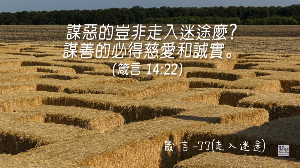 #354 十二月十九日──箴言-77(走入迷途)-第14章22-23節
