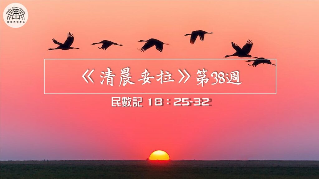 《清晨妥拉》第38週 (七) | 民數記 18：25-32