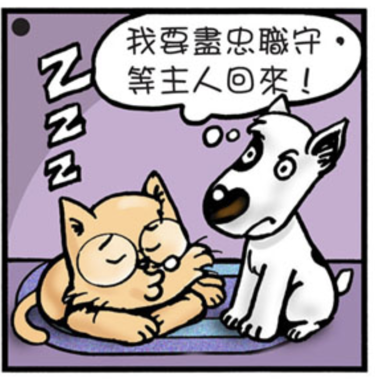 comics-love-neighbors-35