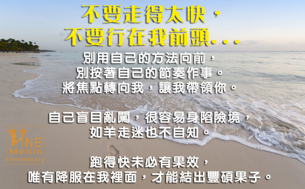 #8 不要走得太快，不要行在我前頭…