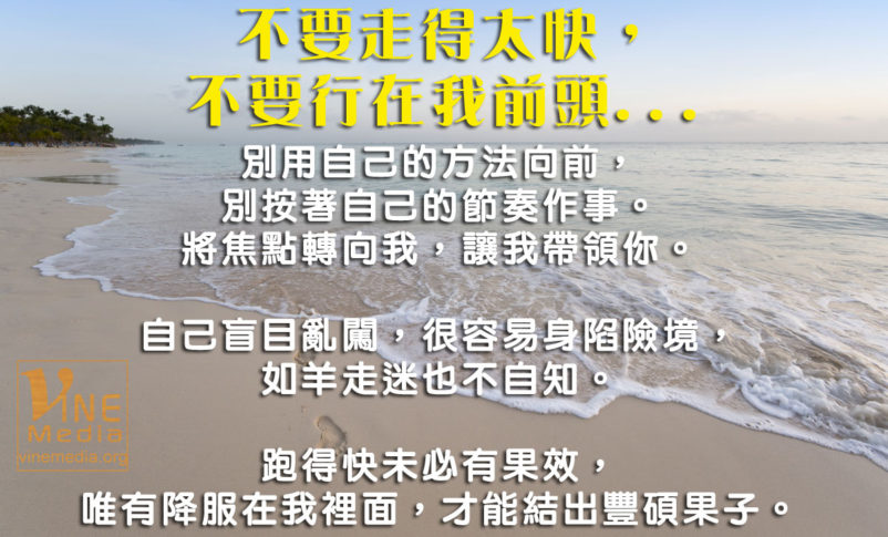 8 不要走得太快,不要行在我前头