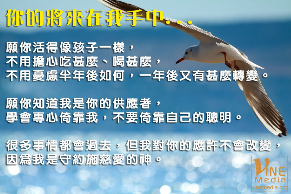 #11 你的將來在我手中…