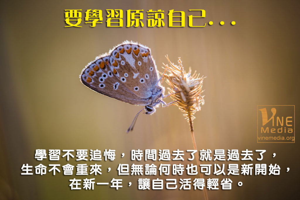 #19 要學習原諒自己…