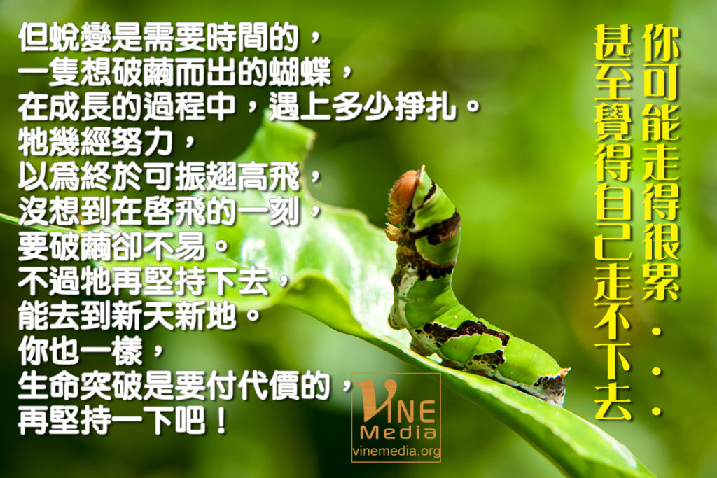 #30 你可能走得很累，甚至覺得自己走不下去…