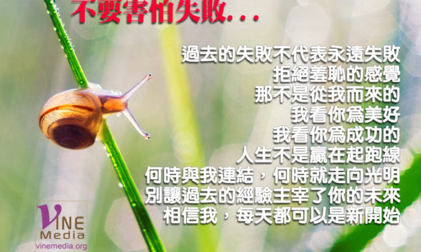 do not be afraid of failure