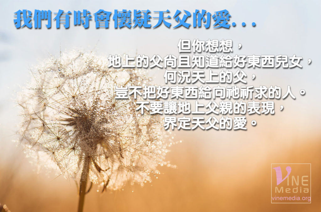 #39 我們有時會懷疑天父的愛…