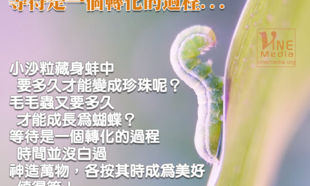 When You are In The Waiting Process