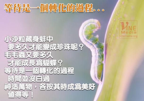 When You are In The Waiting Process