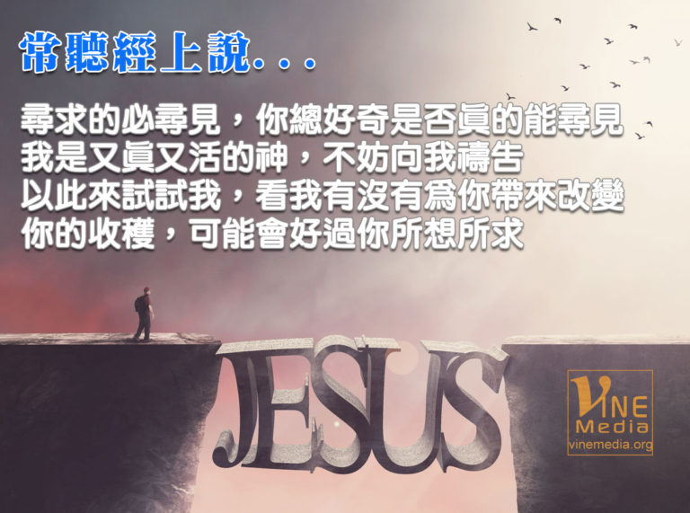 the bible says