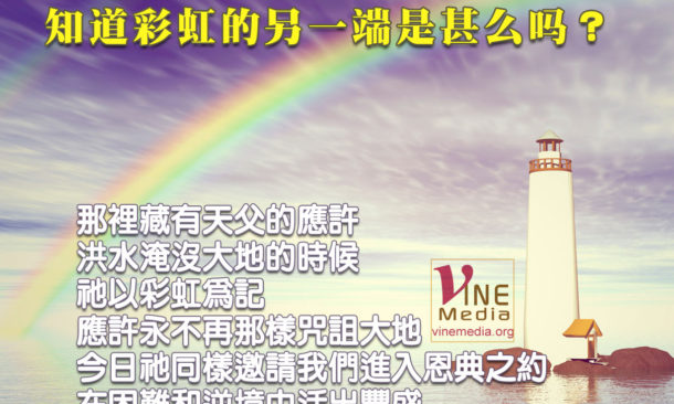 the other side of the rainbow