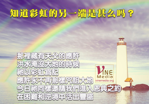 the other side of the rainbow