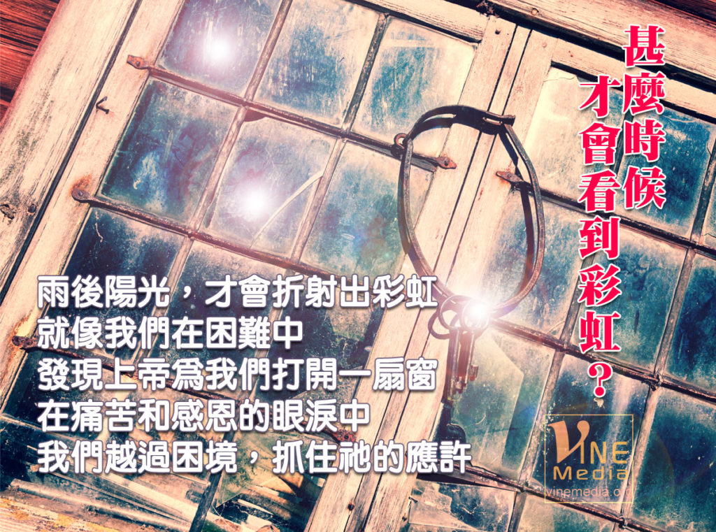 #74 甚麼時候才會看到彩虹？…