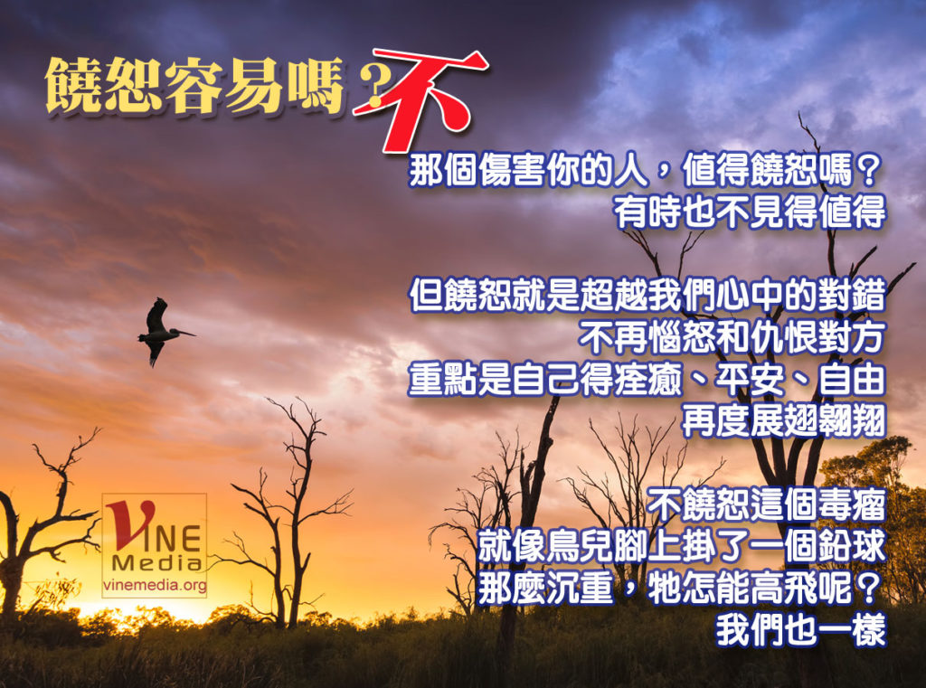 #89 饒恕容易嗎？