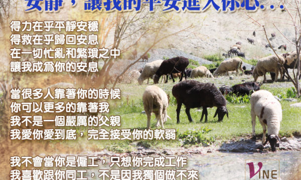 you shall have peace in me