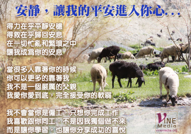 you shall have peace in me