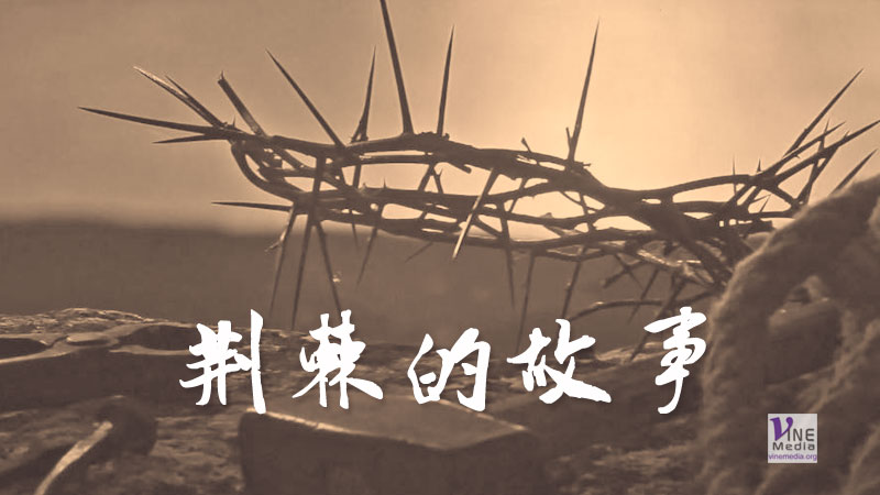 （分享） 荊棘的故事