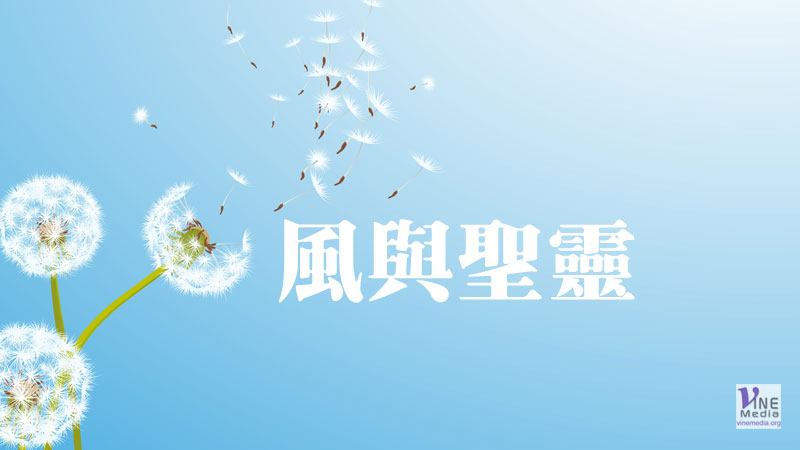 （原文解經）風與聖靈