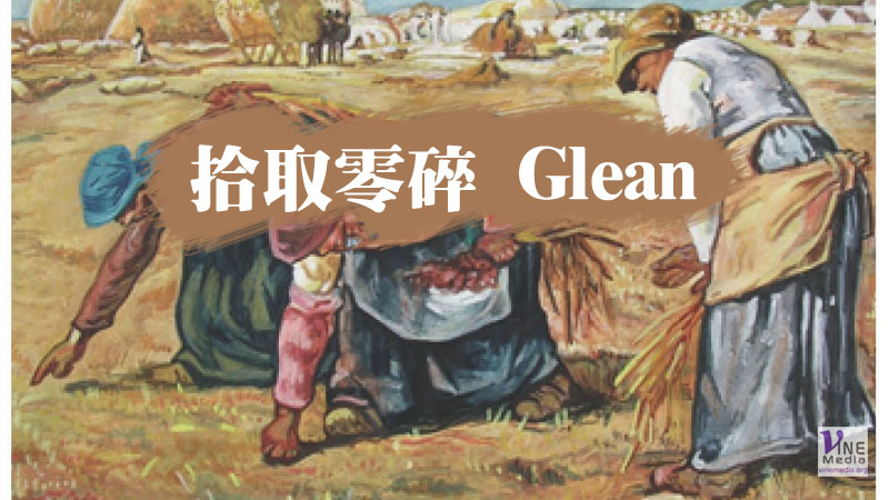 （源於舊約的詞語）拾取零碎 Glean