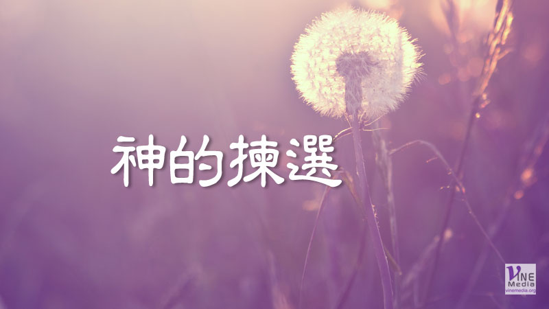 （信息）神的揀選