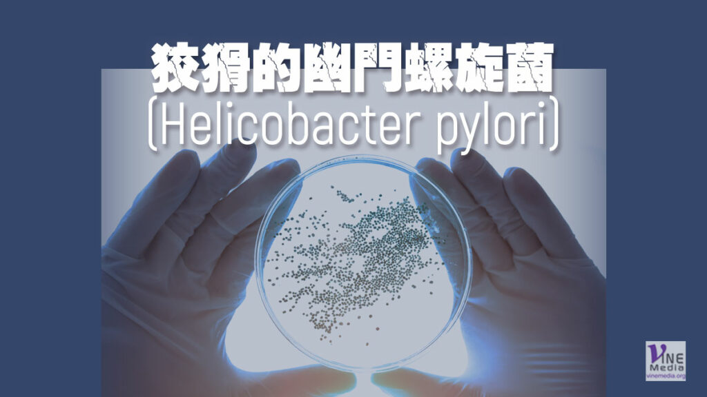 （奇妙的創造）狡猾的幽門螺旋菌 (Helicobacter pylori)
