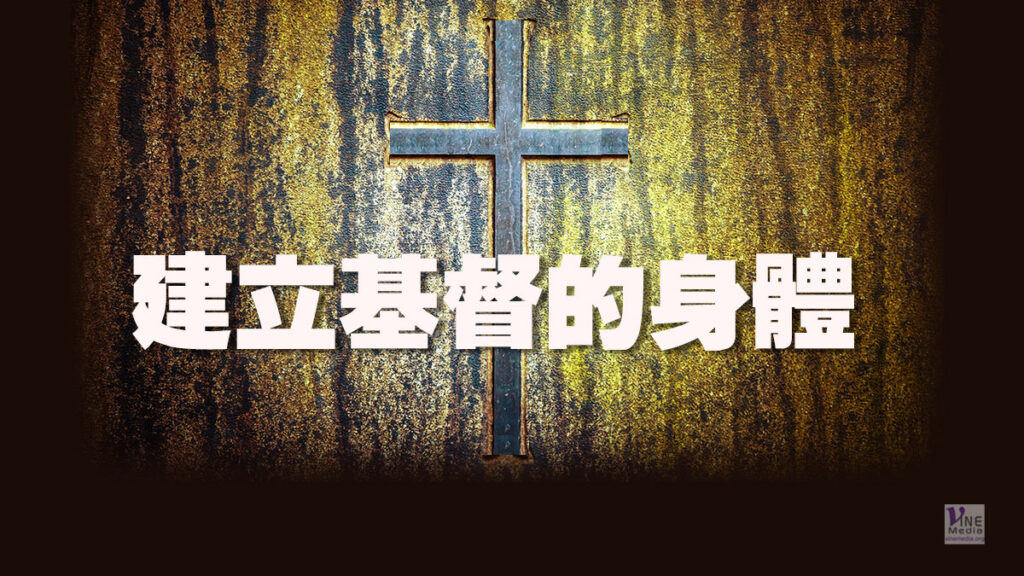 （信息）建立基督的身體