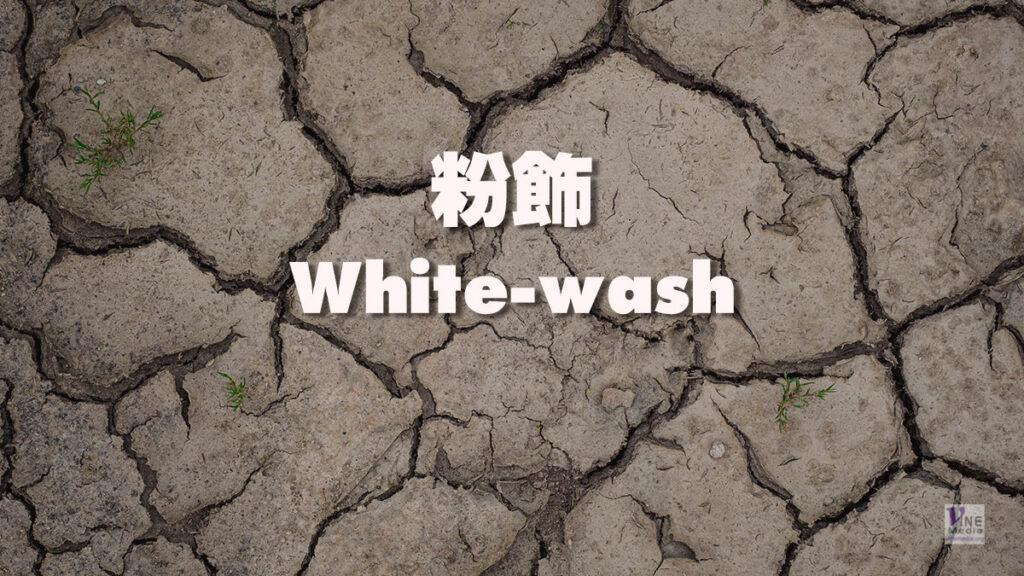 （源於聖經的詞語）White-wash 粉飾