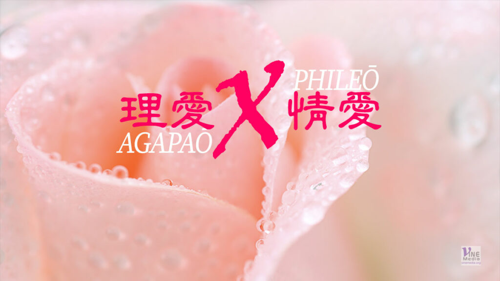 （原文解經）理愛與情愛