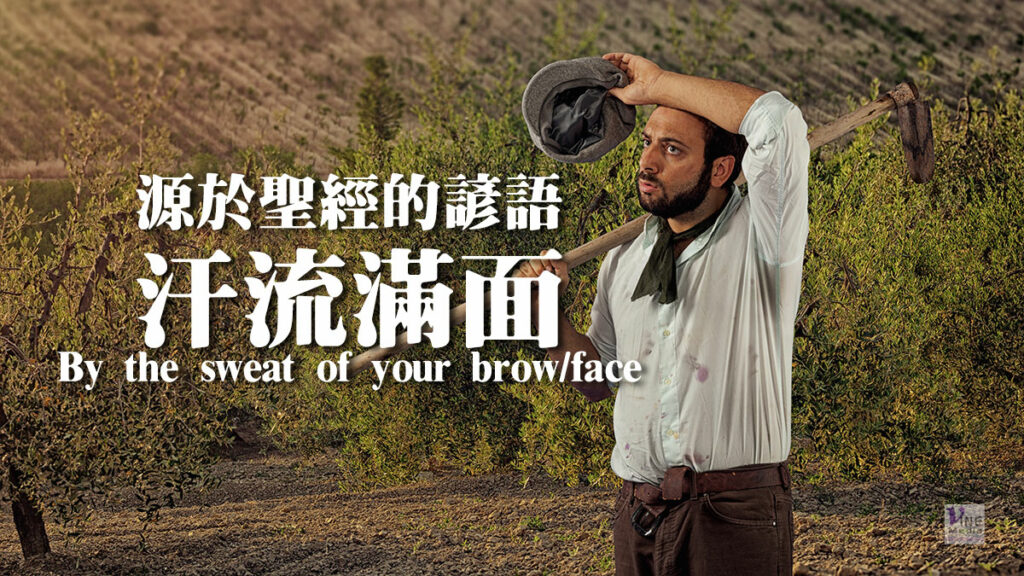 （源於聖經的諺語）汗流滿面 By the sweat of your brow/face