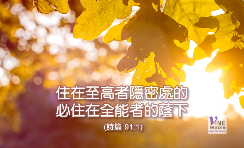 #153 六月一日──在主裡（詩91）