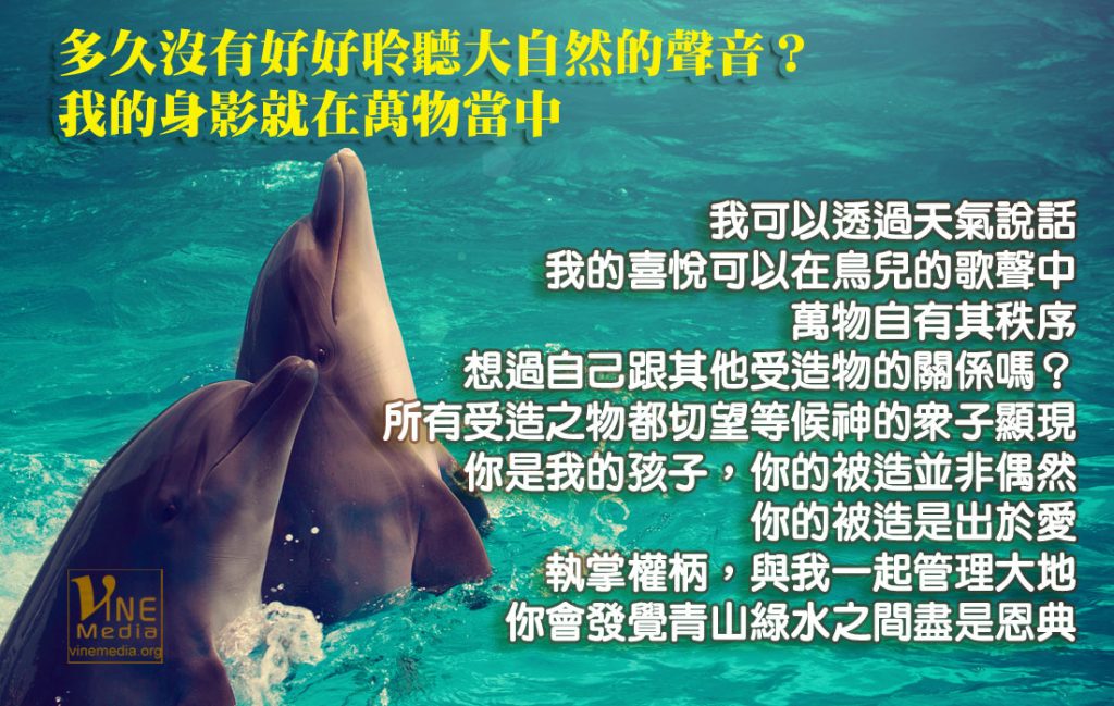 #92 多久沒有好好聆聽大自然的聲音？我的身影就在萬物當中…