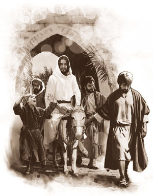 Day 4 TriumphalEntryLR