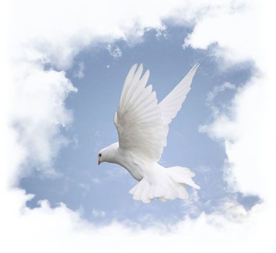 Lent-40-days-28-holy-spirit