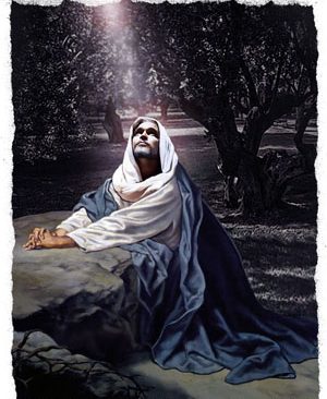 Day30 Gethsemane night LR