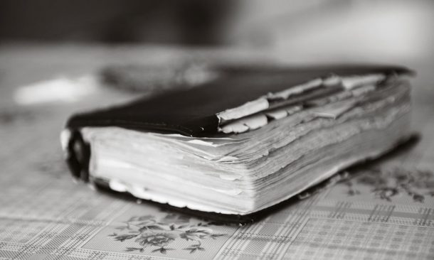 為神的召會正名