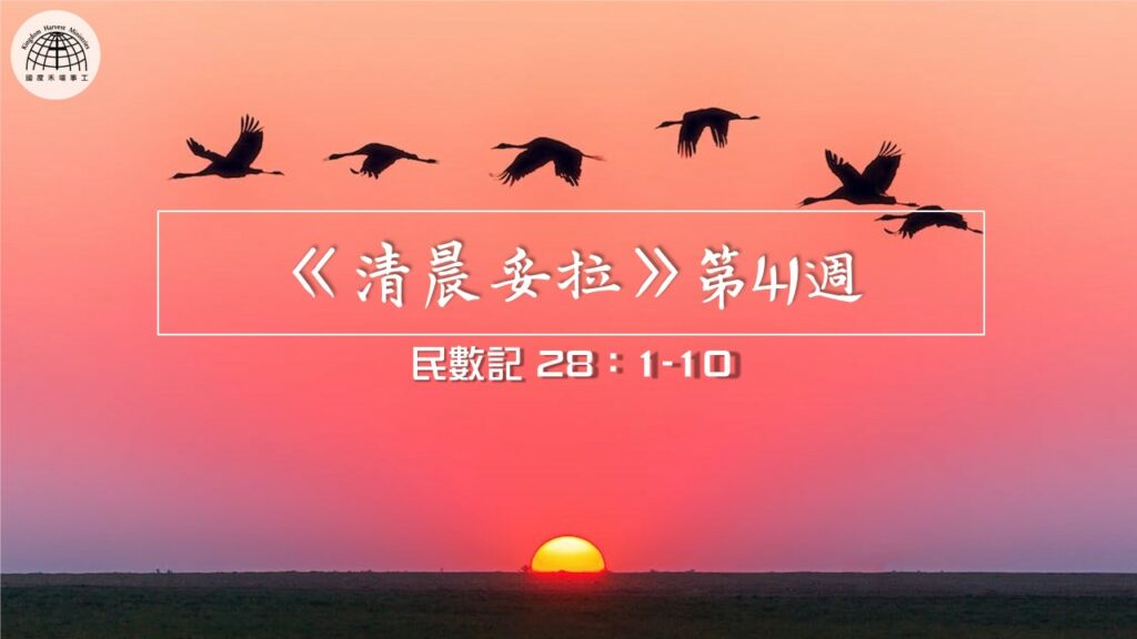 《清晨妥拉》第41週 (七) | 民數記 28：1-10