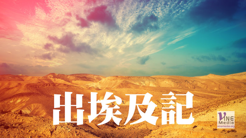 一月廿九日　出埃及記卅四至卅六章
