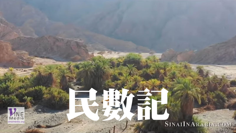 二月廿八日　民數記卅四至卅六章