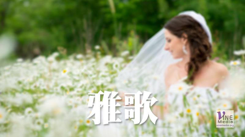 七月卅一日　雅歌一至八章
