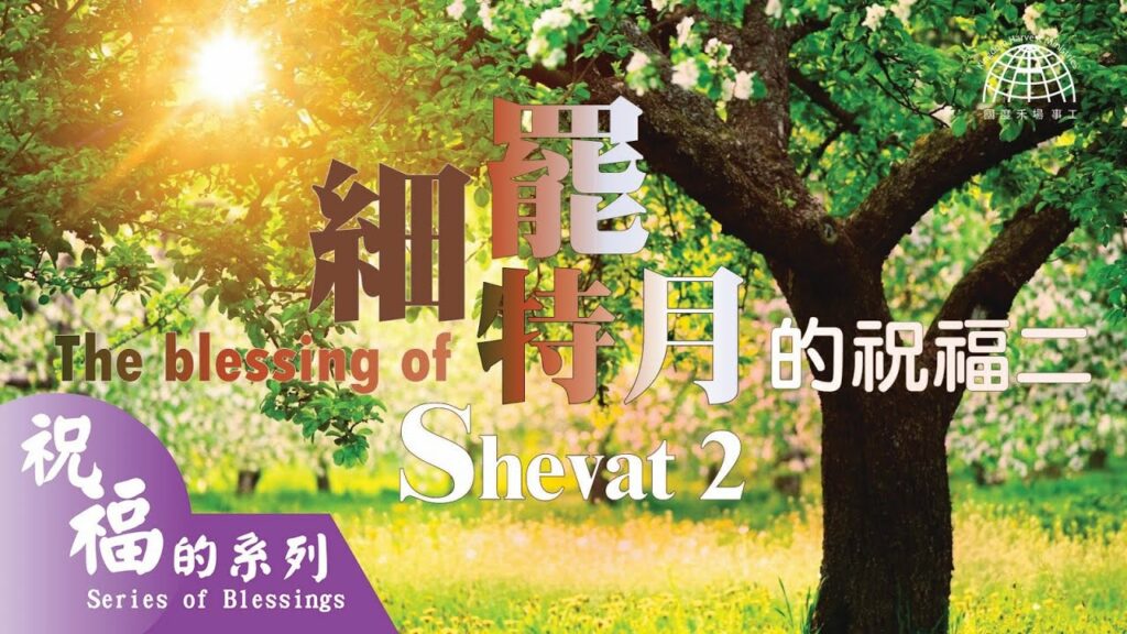 細罷特月的祝福二