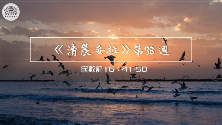《清晨妥拉》第38週 (四) | 民數記 16：41-50