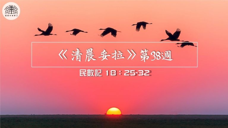 《清晨妥拉》第38週 (七) | 民數記 18:25-32