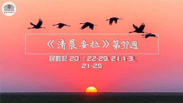 《清晨妥拉》第39週 (七) | 民數記 20 :22-29, 21:1-3, 21-25