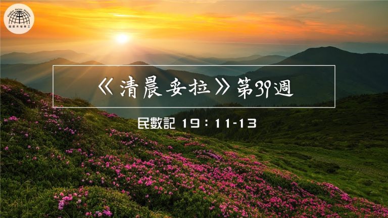 《清晨妥拉》第39週 (二) | 民數記 19:11-13