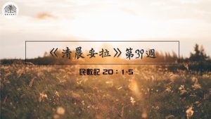 《清晨妥拉》第39週 (三) | 民數記 20：1-5