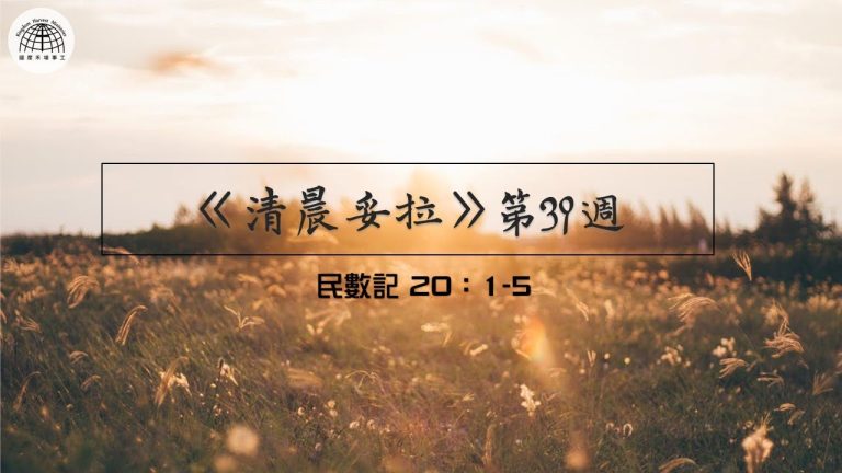 《清晨妥拉》第39週 (三) | 民數記 20：1-5