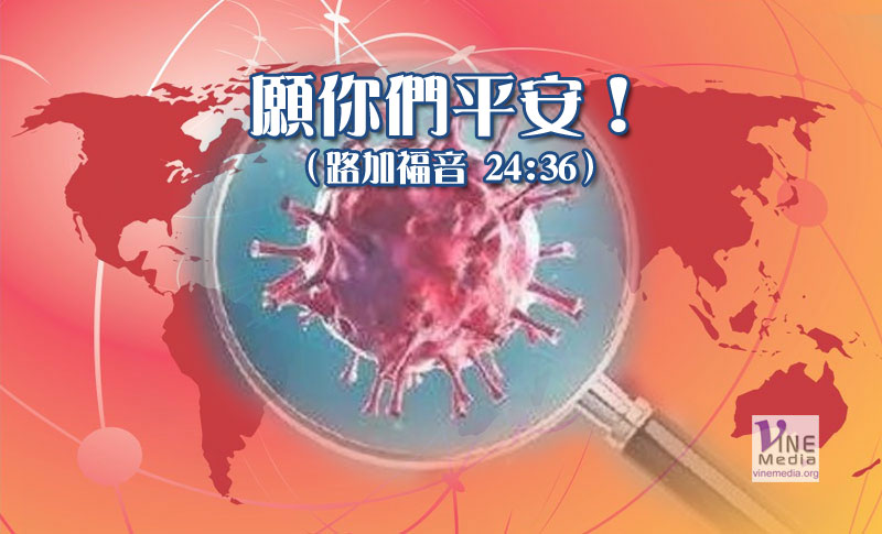 為全球疫症代求