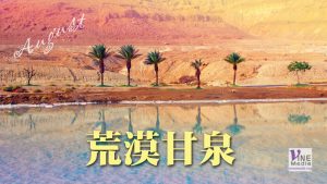八月二十六日──不在我內
